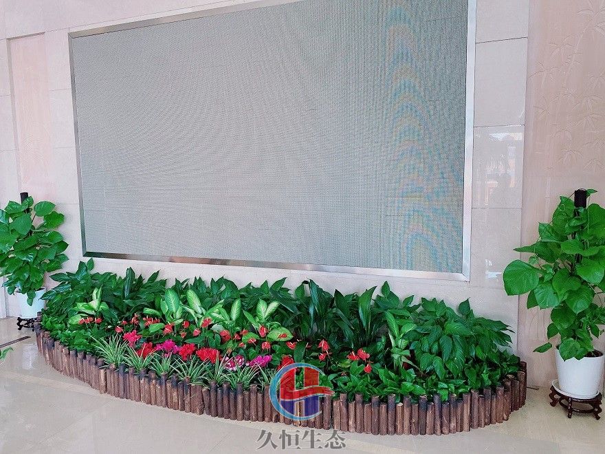 海曙企业大厅显示屏组合花卉绿植摆放